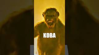 KOBA  PLANET OF THE APES dawnoftheplanetoftheapes kingdomoftheplanetoftheapes koba caesar [upl. by Kei]