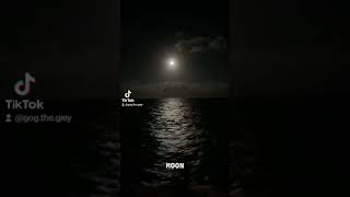 The Moon Poem by GoGtheGrey fy fyp youtubeshorts youtube [upl. by Keppel951]