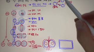 체세포분열 6분에 끝내기중3과학5단원생식과 유전 [upl. by Purcell759]