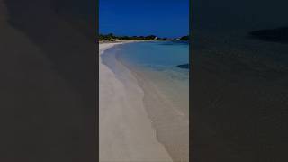 nature aruba youtubeshorts viralvideo 🇦🇼🌺💙 [upl. by Nordna]