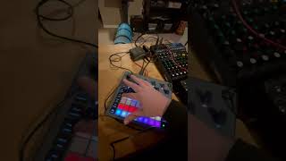 Quadrantid Swarm  Metal Zone and Novation Circuit Rhythm [upl. by Tuesday]