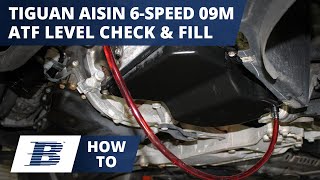 How To Check and Fill VW Tiguan Transmission Fluid aka VW Tiguan ATF Level Aisin 6 Speed 09M [upl. by Ailesor]