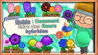 ➤GUIDE  COMMENT FAIRE DES HYBRIDES DANS ❰ANIMAL CROSSING NEW HORIZONS❱ [upl. by Landau]