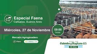 20241127 Especial Faena [upl. by Eahs]