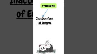 Zymogens shorts ytshorts viralshorts youtube zymogens enzymes trending pritiduhanofficial [upl. by Emirej]