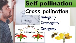 Pollination types self pollination or cross pollination  autogamygetanogamy or xenogamy [upl. by Calder169]