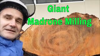 Milling the Largest Madrone Tree I have Ever Seen Best Grain Yet [upl. by Fisoi]