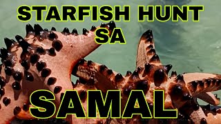 STARFISH HUNT SA SAMAL ISLAND DAVAO DEL NORTE [upl. by Hardigg]