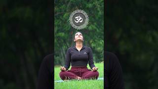 Sahastrara  Crown chakra  Seven primary chakra’s crownchakra 7chakras yoga yogapractice yogi [upl. by Lertnahs]