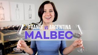 France vs Argentina Malbec Wine [upl. by Yedrahs]