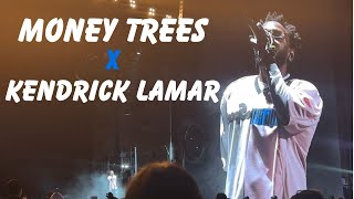 MONEY TREES x Kendrick Lamar  Camp Flog Gnaw 2023 [upl. by Jermyn]