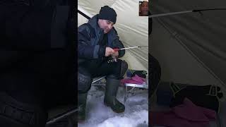 wow fishing winter рыбалка icefishinglife icefishinglife winterfishing [upl. by Rosco]