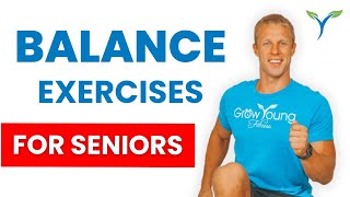 Balance Exercises for Seniors  Fall Prevention  Balance Exercises for Elderly [upl. by Thirzi767]