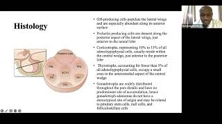 Pituitary Adenomas Surgical anatomy pathophysiology evaluation and treatment [upl. by Harihat]