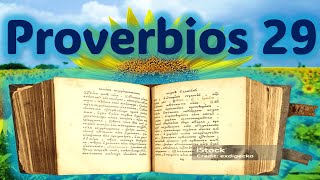 🔸Descubre el Precioso Mensaje de Proverbios 29 BIBLIA HABLADA [upl. by Jeane497]