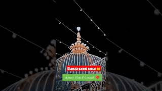 Ajmer Sharif dargah night view 😍❤️ ajmer ajmersharif dargah youtube youtube trending yt [upl. by Romeo385]