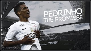 Pedrinho ► The Promisse  Ultimate Skills amp Goals  2018  HD [upl. by Neeham312]