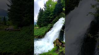 lovely nature  beautiful waterfall [upl. by Akiwak]