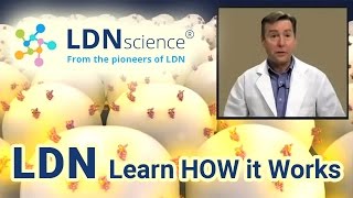 LDNscience® Presents  How LDN Low Dose Naltrexone Works [upl. by Dorin]