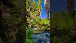 camargo chihuahua nature naturelovers naturesounds fyp short riversounds foryou [upl. by Whitten]