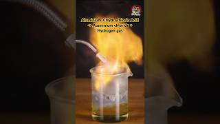 Aluminium  Hydrochloric Acid gives Aluminium chloride amp Hydrogen gas viralshorts viralreels [upl. by Mannuela]