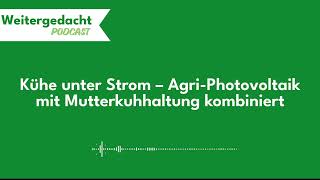 Weitergedacht 06 Kühe unter Strom – AgriPhotovoltaik mit Mutterkuhhaltung kombiniert [upl. by Naik961]