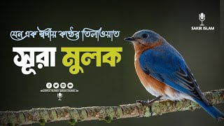 অন্তর জুড়ানো কন্ঠে সূরা মুলক ‌‍‌‍‌ surah mulk by sakir islam [upl. by Irmo]