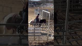 horse painthorse rodeo equestrian rodeolife love horsegirl horses [upl. by Notsnorb]