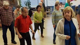 De quot ZOETE  INVAL quot SOOS  Een gezellige Line Dance Dansmiddag Vrijdag 1 November 2024 Utrecht 1 [upl. by Dyoll]