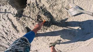 Minelab Manticore Remote Island Beach hunt adventure [upl. by Nyleahcim20]