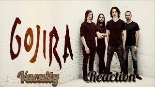 Gojira  Vacuity Reaction [upl. by Kevan]