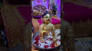 Suvo Janmashtami Radhe Radhe 🙏 Hare Krishna 🙏 harekirshna [upl. by Aynor]