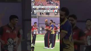 Elvish Yadav amp Fukra Insaan After ECL Moment  BB Vs HH  ECL cricket live [upl. by Etam]