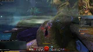 Guild Wars 2 Strongbox  Cryptonym Tangled Depths [upl. by Baxy599]