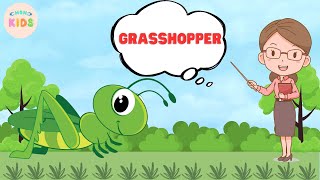 Grasshopper Facts For Kids 😊 Learn All About Grasshoppers  MON Kids [upl. by Cela]