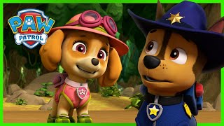 Chase and Skye Rescue Missions and MORE  PAW Patrol  Cartoons for Kids [upl. by Sorvats]