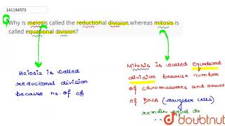 Why is meiosis called the reductional divisionWhereas mitosis is called equational division [upl. by Dupaix25]