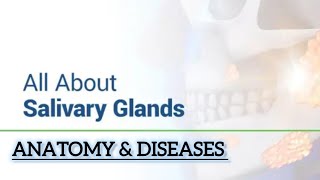 SALIVARY GLANDS ANATOMY amp DISEASES [upl. by Laehplar]