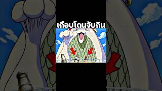 youtubeshorts anime onepiece ฟีด อนิเมะ luffy วันพีช shorts short [upl. by Dnalyar]