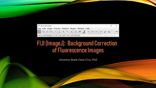 FIJI ImageJ Background Correction of Fluorescence Images [upl. by Meyer]