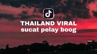 Lirik Lagu Thailand Viral di Tiktok  Sucat Pelat Boog Ngamlay Plofai Doog Waahh [upl. by Nord]