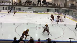 Minnesota Crookston Hockey Highlights vs Minnesota [upl. by Ylas]