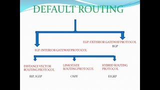 Routing Protocols RIP OSPF BGP  Fundamental Concepts [upl. by Otineb]