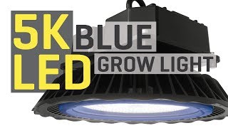 New 5000K Blue LED Grow Light [upl. by Ardnayek]