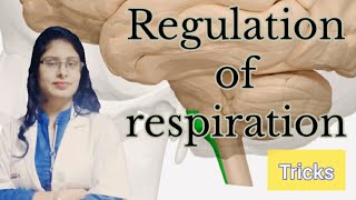 Regulation of respiration class 11  NEET  CBSE 11  TRICKS FOR REGULATION OF RESPIRATION [upl. by Eisen560]