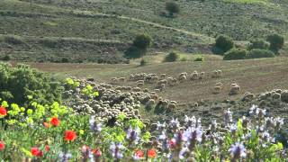 SPAIN countryside of north CastillaLa Mancha hdvideo [upl. by Hays]