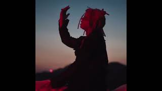 Leray Trippie Redd edit [upl. by Aleakcim]