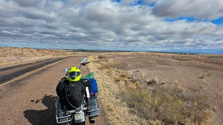 John Allgood and Daisy the Venice Healer visit the Petrified Forest [upl. by Arinayed]