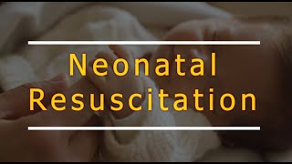 Neonatal resuscitation NRP and practice scenario [upl. by Horter258]