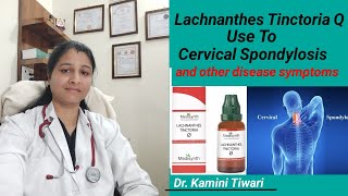 Use of Lachnanthes Tinctoria Q  Homeopethic Important Medicine for cervical spondylitis [upl. by Germann428]